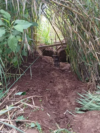 Avance de obra del 12/09/2025 — foto 5