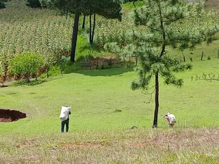 Avance de obra del 19/09/2025 — foto 4