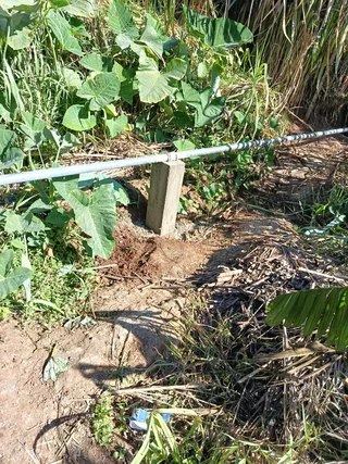 Avance de obra del 10/12/2025 — foto 4
