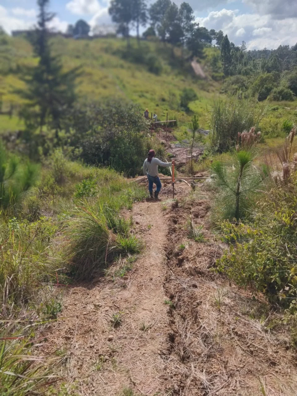 Avance de obra del 26/09/2025
