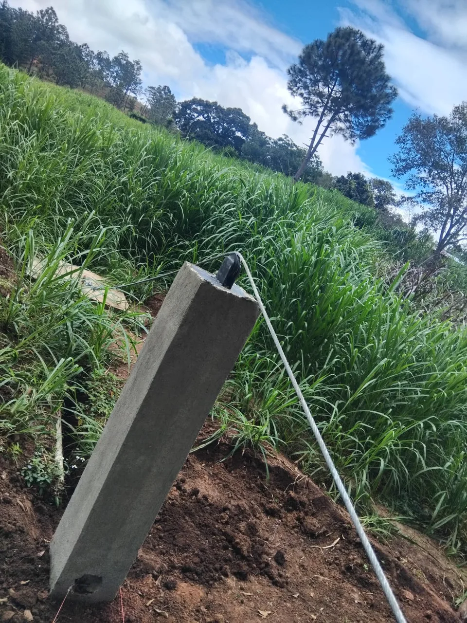 Avance de obra del 28/11/2025