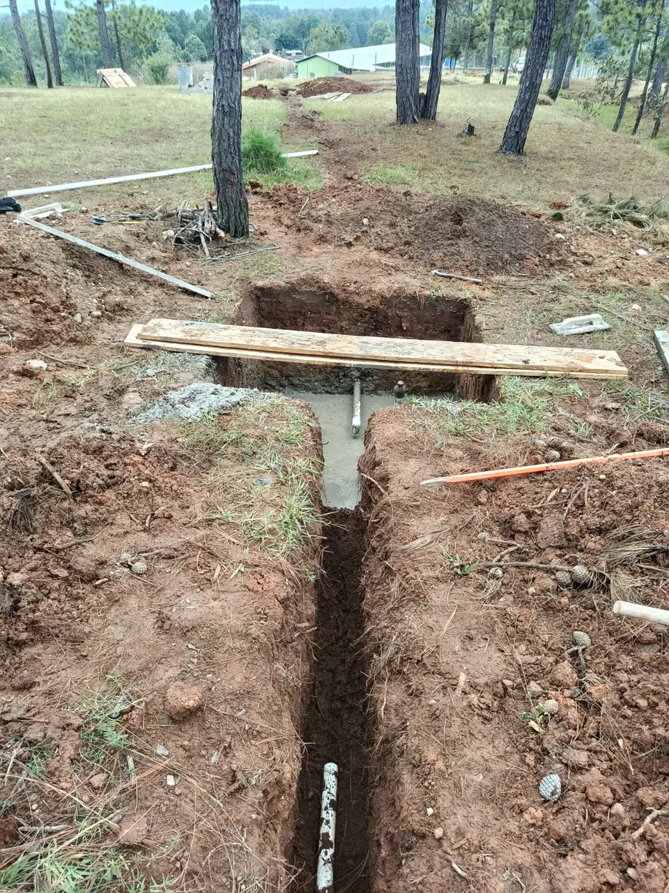 Avance de obra del 19/12/2025
